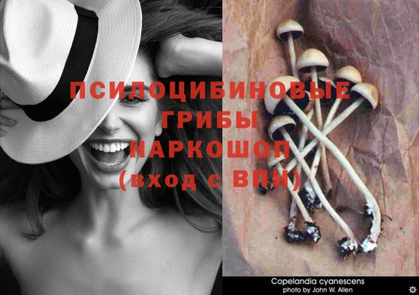 таблы Протвино