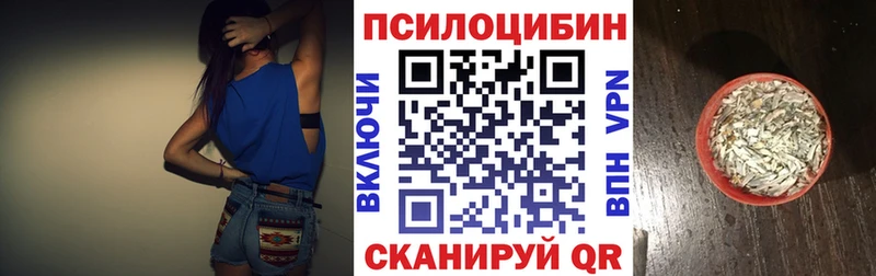 Галлюциногенные грибы мицелий  мега tor  Болохово 