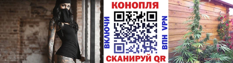 купить закладку mega вход Шишки марихуана Ganja Болохово